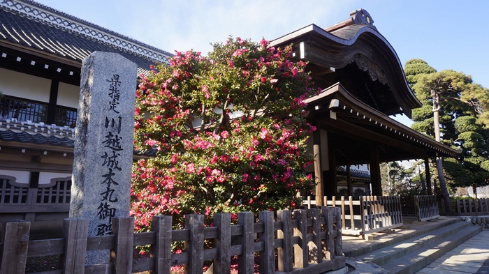 川越景點推薦
