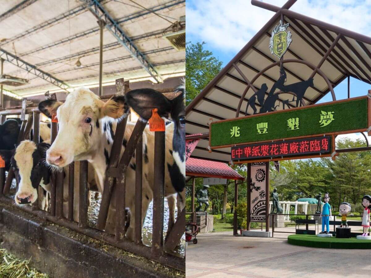 花蓮親子景點｜暑假13個放電好去處！鳳梨園小火車、章魚燒DIY，順遊「台版紐西蘭」夢幻景點