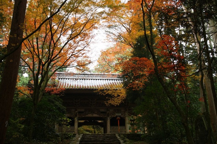 四國紅葉推薦景點－愛媛 西山興隆寺