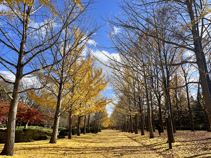 山形 山形綜合運動公園