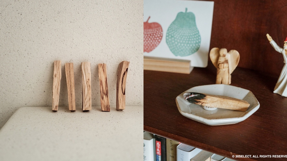 2022名人圈最紅聖誕禮！「秘魯聖木、鼠尾草」10大特點必看，功效與好處一次解惑！