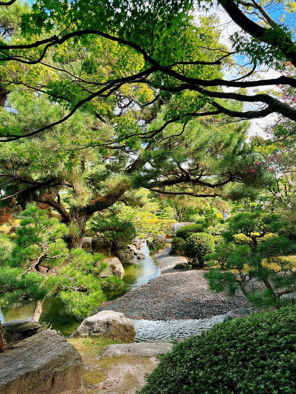 大濠公園日本庭園_下池