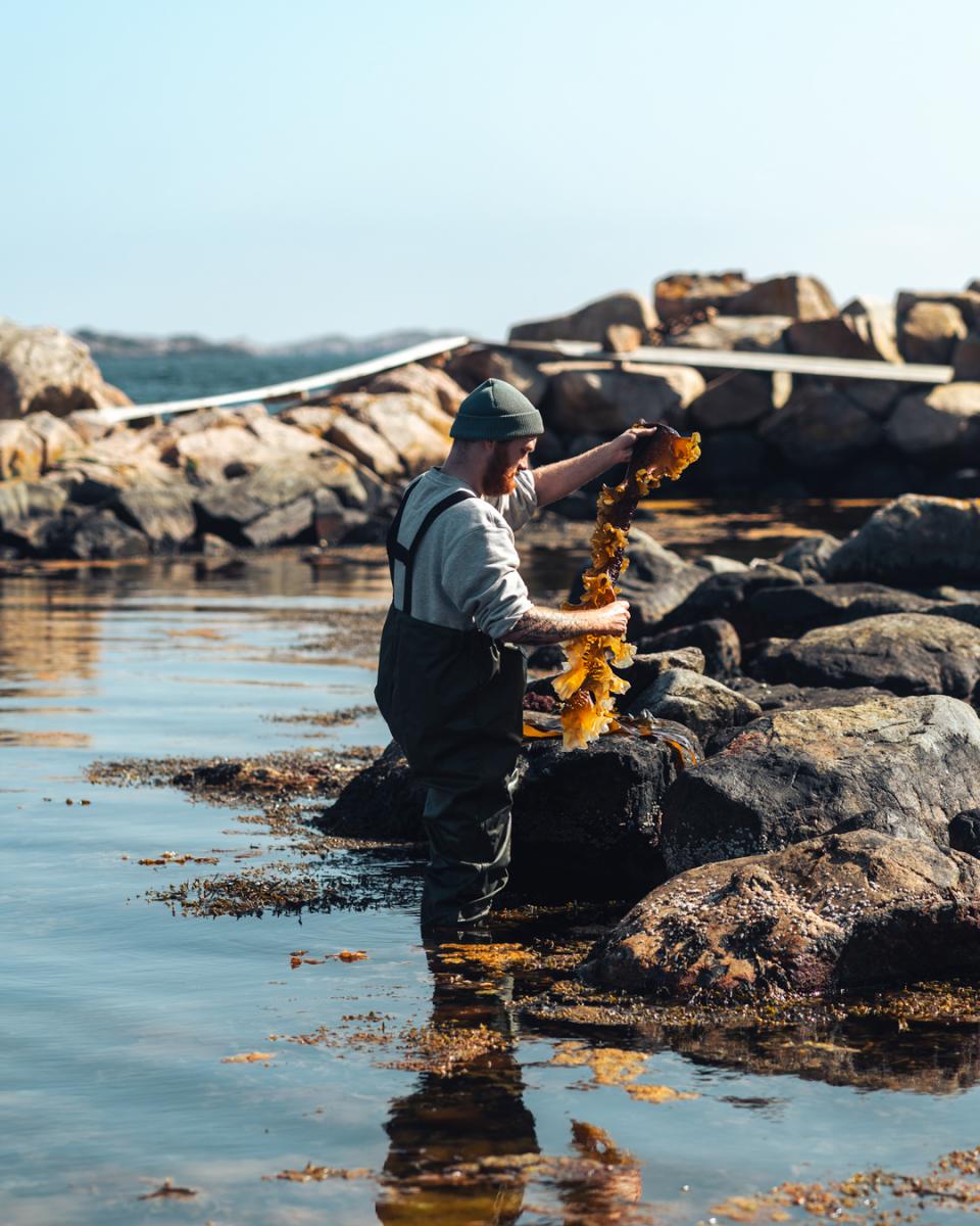 Under 最具前瞻性的價值，在於它同時肩負科研使命。餐廳與海洋研究人員長期合作，將建築與周邊海域作為觀測基地，持續記錄水下生態變化與魚類行為。外牆刻意保留粗糙質地，讓貝類、藻類與微生物自然附著，隨時間形成人工礁體，吸引更多物種棲息。這意味著 Under 並非靜態存在，而是會隨著生態演化而「成長」的建築。當饕客在室內用餐時，窗外所見正是這座建築參與塑造的生態成果。餐飲、建築與科學在此形成罕見的共生關係。