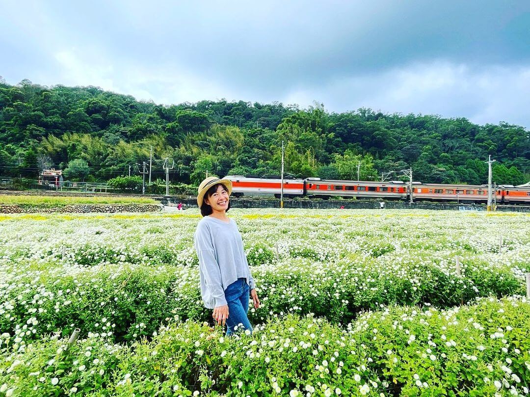 苗栗一日遊｜除了賞杭菊，還能喝杭菊咖啡！杭菊花季的苗栗銅鑼一日遊提案