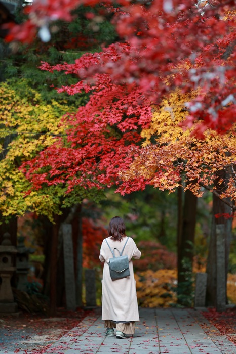 今高野山