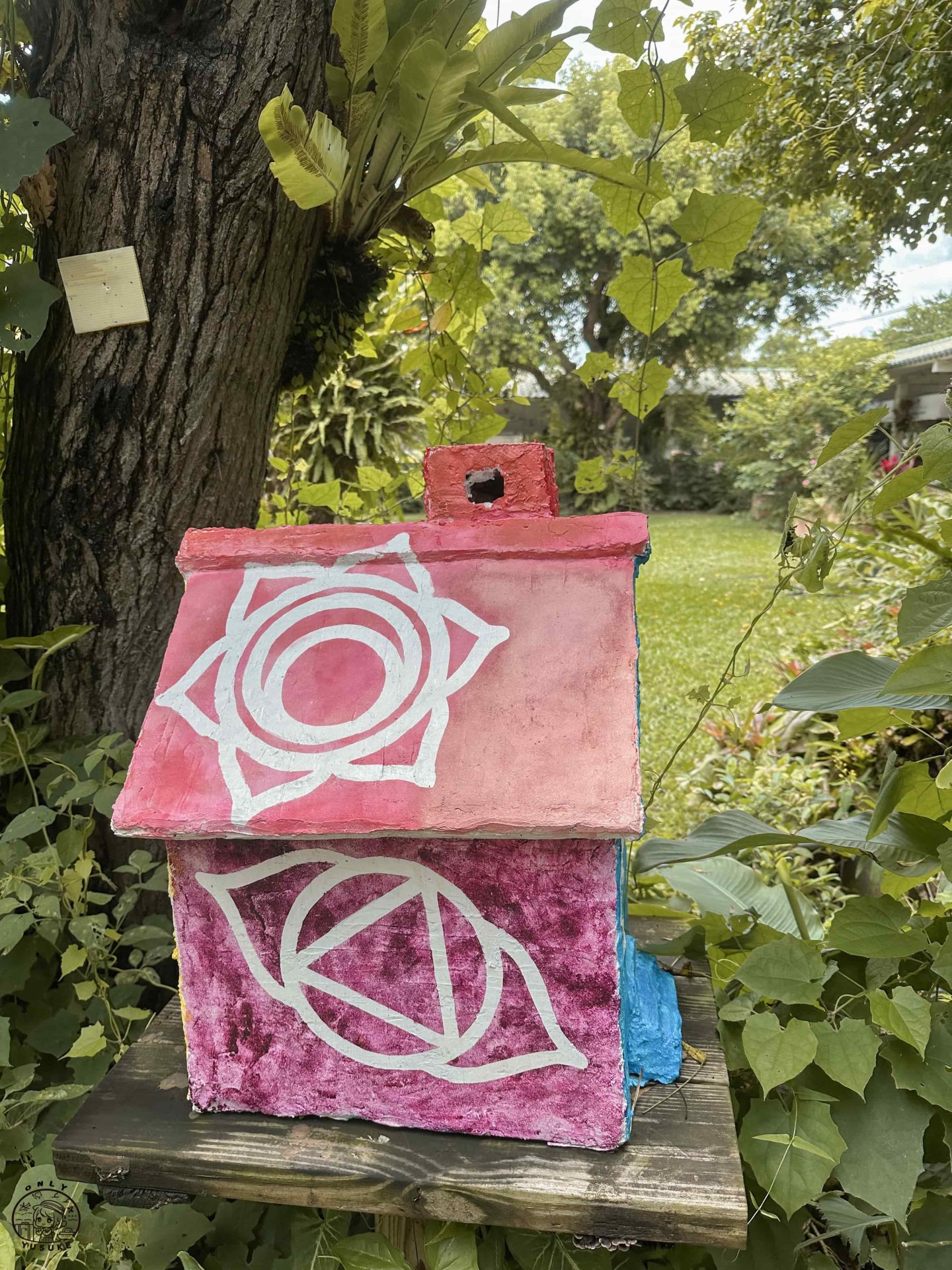 雅聞香草植物工廠介紹