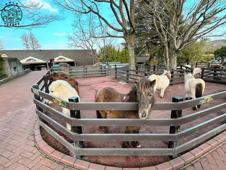 九州自然動物園