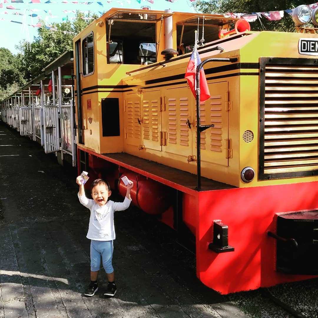 嘉義親子景點必去清單｜超適合遛小孩的玩樂好去處，故宮南院溜滑梯、咩咩上樹療癒動物、三隻小豬觀光農場