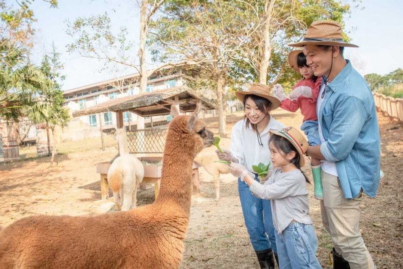 （圖／業者提供）