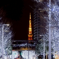 2025 日本聖誕活動10選懶人包！塔麻歌子燈光秀、聖誕市集逛起來 | Japaholic