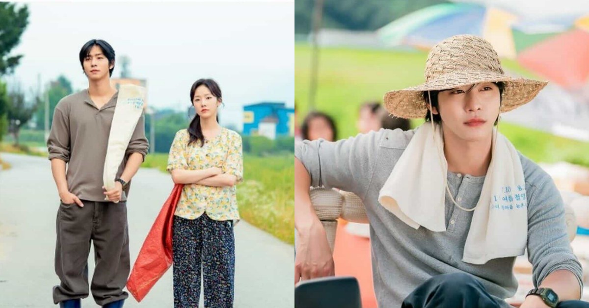 Netflix《秒殺愛情》線上看、分集劇情解析，安孝燮、蔡元彬關係確認狂放閃！