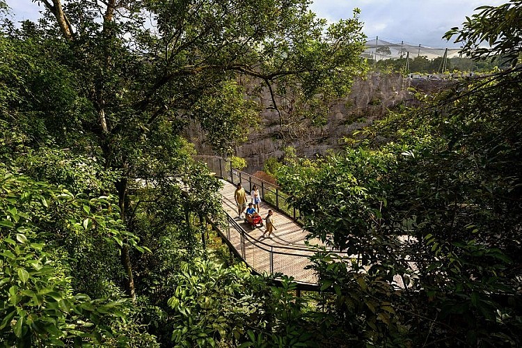 不同於傳統動物園，亞洲雨林探險園結合野外探險與生態展示，讓遊客就像置身在真正的雨林之中。