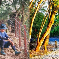 彰化登山步道｜在山中深呼吸！7條彰化絕美登山步道總整理
