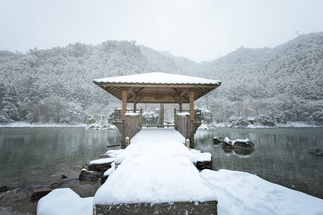 全台賞雪勝地｜明池國家森林遊樂區｜一起等待初雪降臨