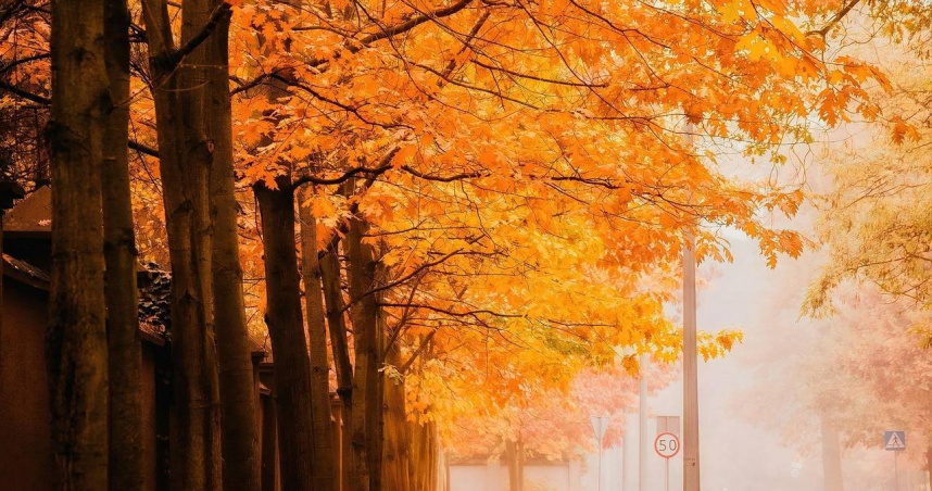 12星座11月運勢出爐！巨蟹貴人相助　天蠍好運自來