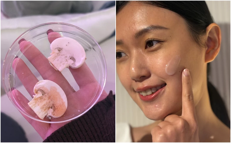 ALBION 隨肌所選 淨透滲透乳 (輕盈版/潤澤版) 110 g | NTD1,000