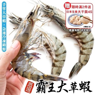 生食級干貝與巨無霸草蝦海鮮組