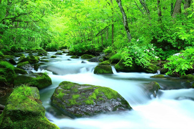 夏季是奧入瀨溪流最受旅客歡迎的季節，平均氣溫約16~22度，十分涼爽宜人。