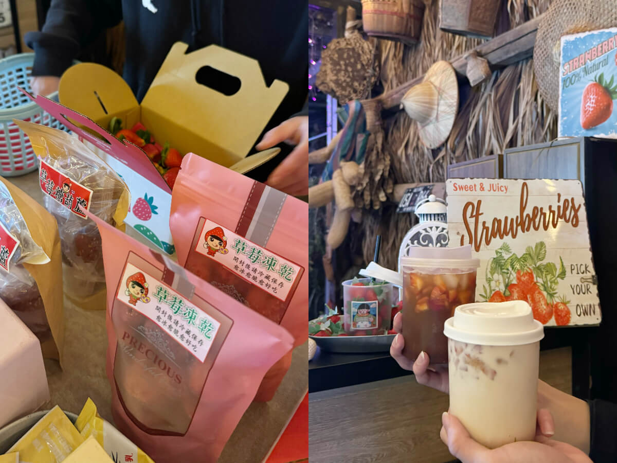影｜苗栗一日遊｜新手懶人露營推薦！超Chill異國風、寵物友善，還能採夜光草莓！