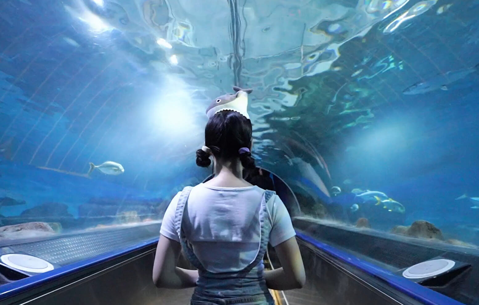 花蓮三日遊｜探險島水族館