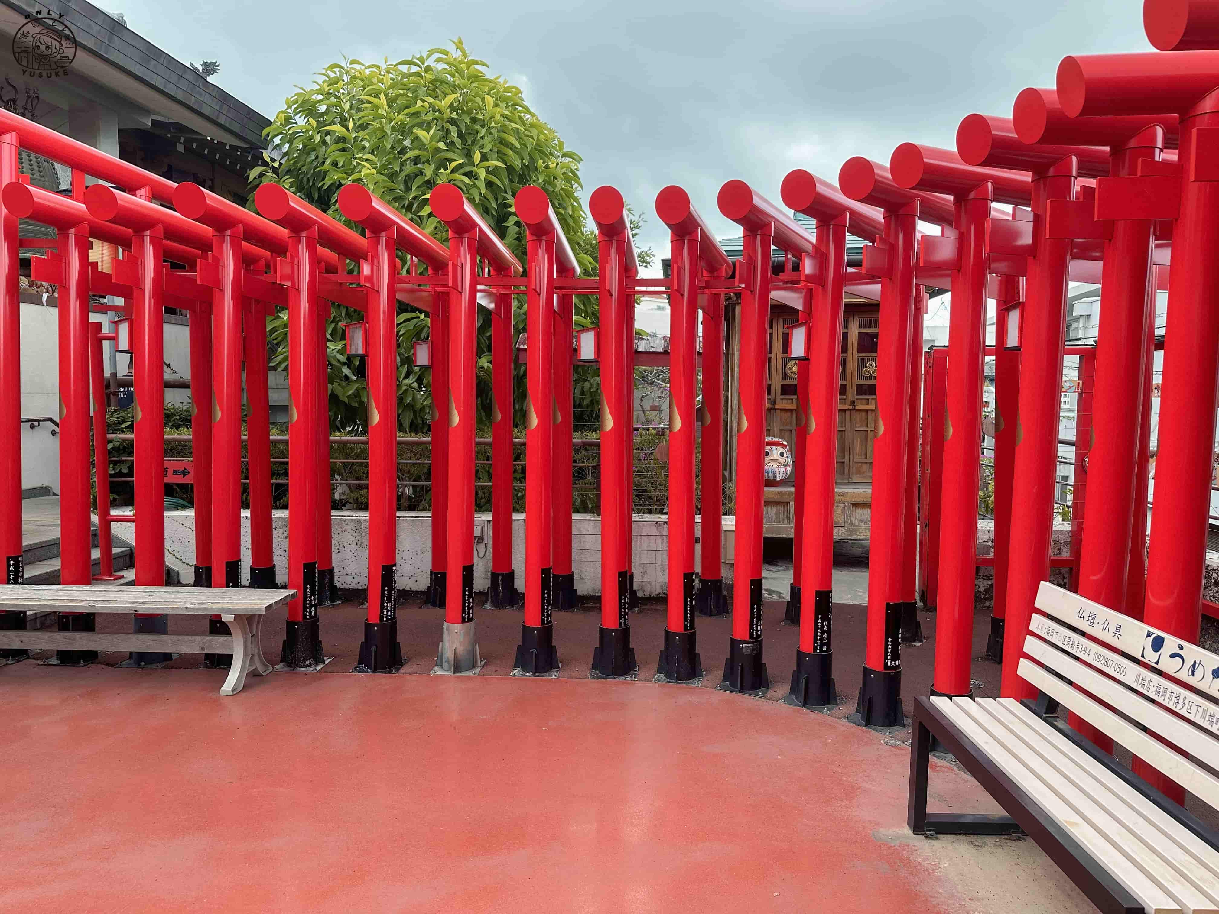 西來院達摩寺介紹