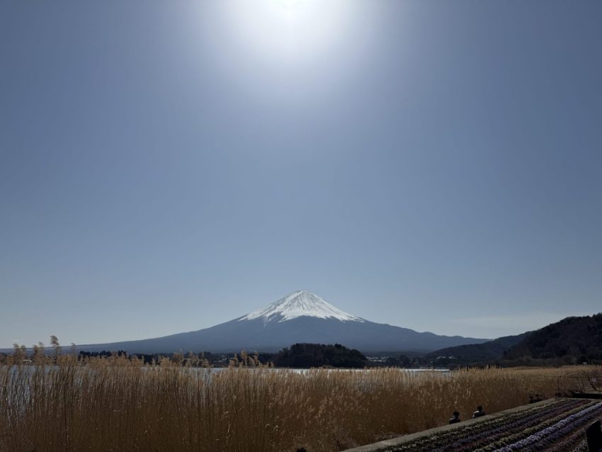 【河口湖景點推薦】12個必拍富士山打卡點、交通建議、一日遊行程攻略