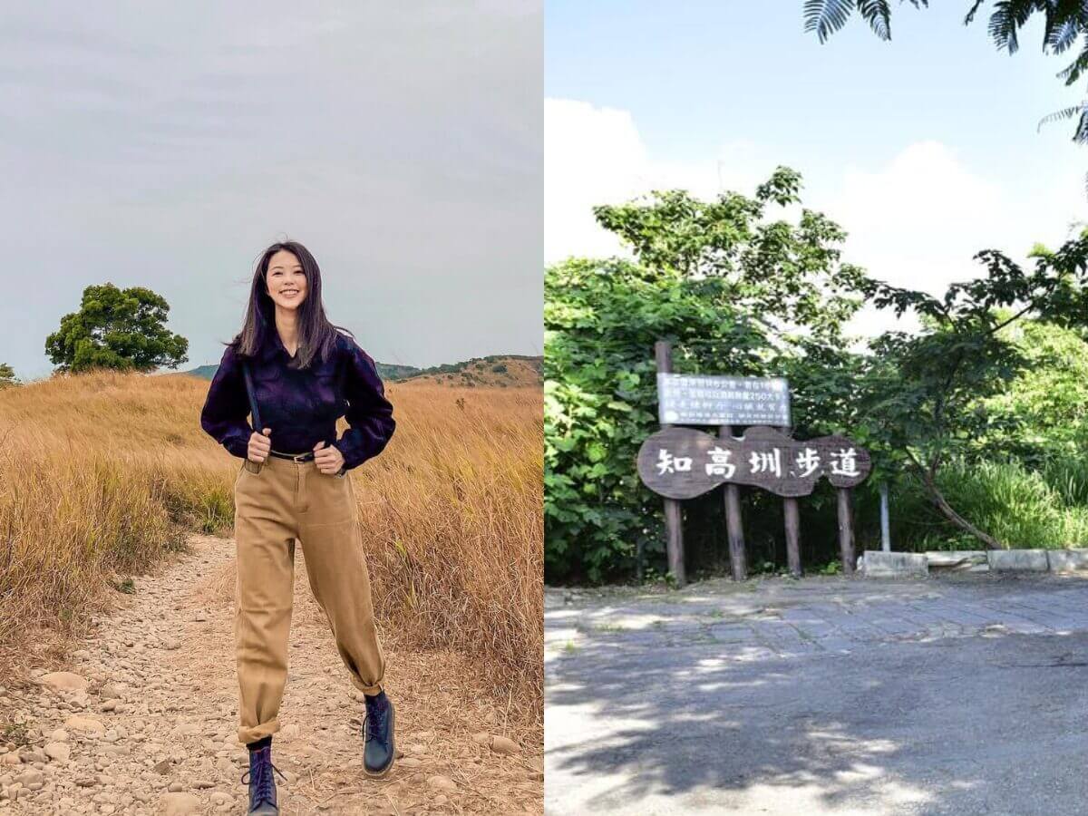 全台親山步道推薦｜新手也能輕鬆走！12條絕美親山步道懶人包，森林系、天空步道、101夜景全收錄