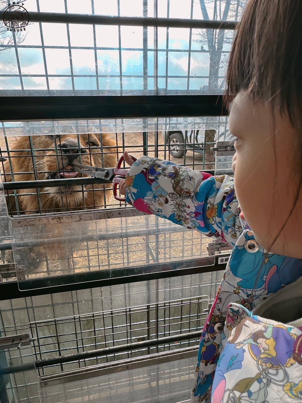 九州自然動物園叢林巴士