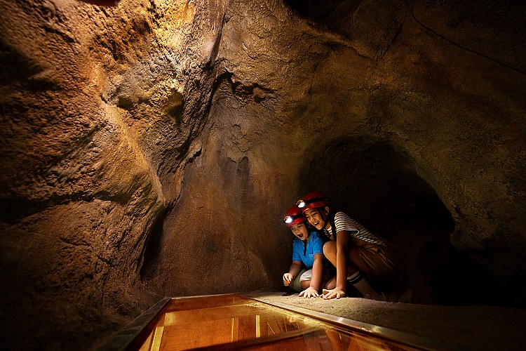 園區以馬來西亞世界遺產砂拉越的姆魯洞穴為靈感，打造大量擬真洞穴，洞穴中設有透明地板，並展示蛇與巨型蠍等生物，讓大家能近距離觀賞這些大自然界的頂級掠食者。