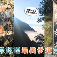 宜蘭景點｜CNN 認證全球最美步道之一「宜蘭見晴懷古步道」，走進宮崎駿動畫世界的夢幻森林！