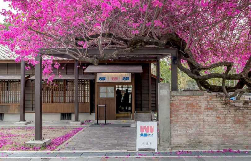 炸開來的九重葛花景近期在網上掀起討論，來到國漫館不可不拍。（圖／焦正德攝）