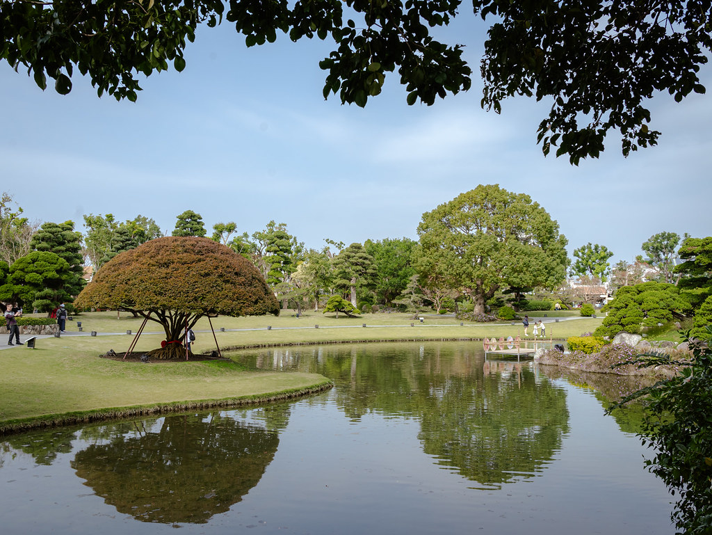 彰化景點》成美文化園｜百米落羽松步道超夢幻！油紙傘天空步道、