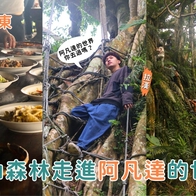 台東景點｜鸞山森林博物館居然有「會走路的樹」？週末來趟沉浸式布農部落文化體驗！