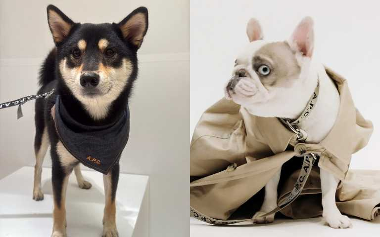 （圖／品牌提供、黃筱婷攝）