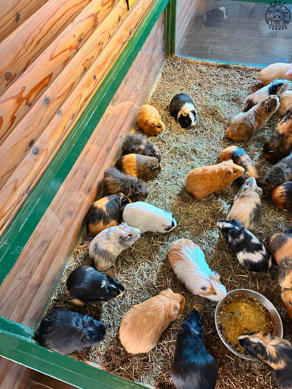 九州自然動物園