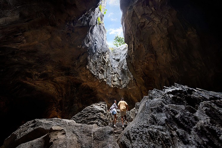 亞洲雨林探險園內又細分多種主題空間，遊客可依照身體狀況或喜好自由選擇冒險程度，高架平坦步道適合全家與行動不便者，森林小徑與高難度路線則適合喜愛挑戰的探險者。