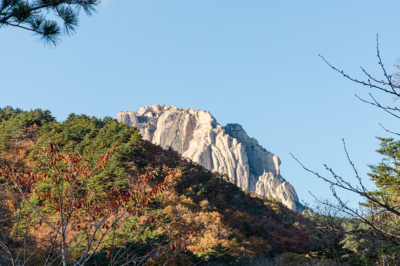 20191104-TIGL8291