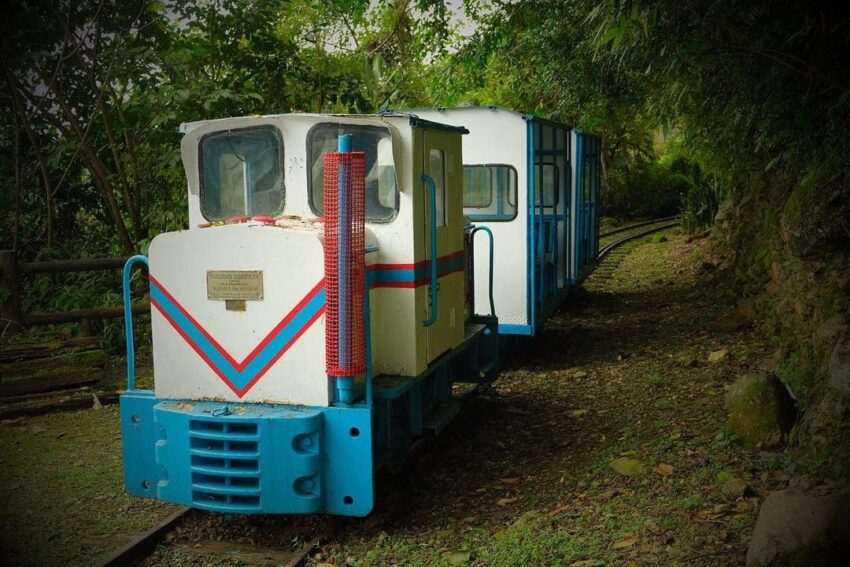 池南國家森林遊樂區 蹦蹦車