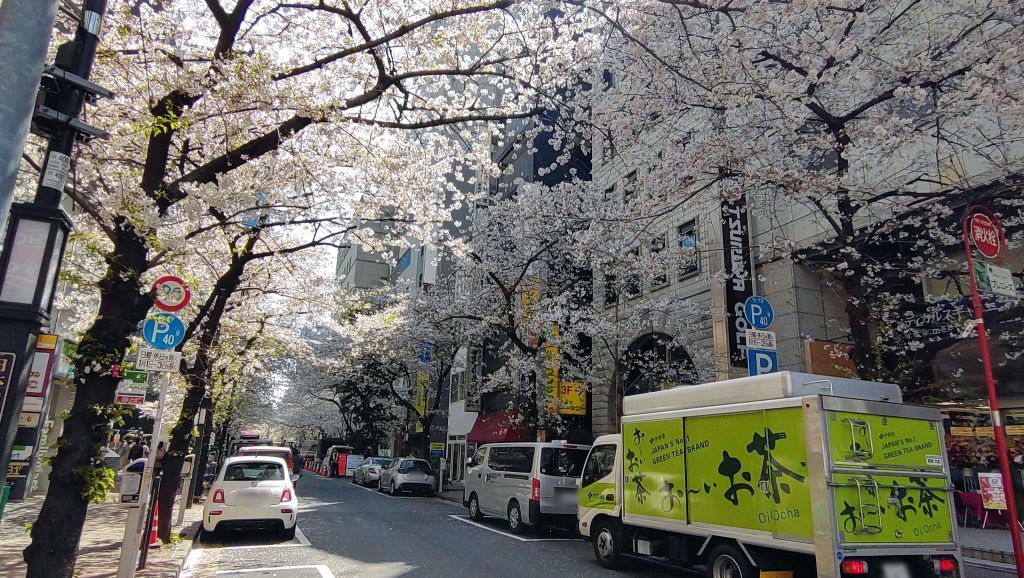 八重洲桜通り