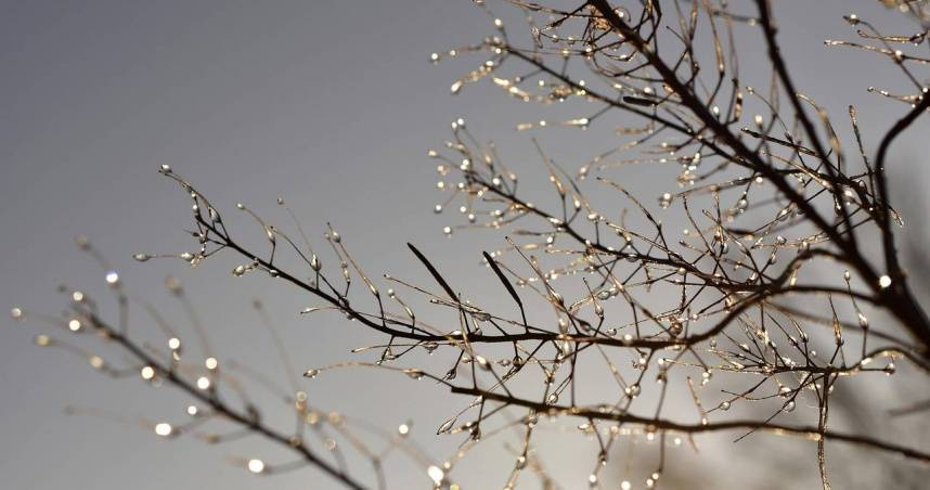 4星座不畏寒冬逆勢起飛　事業愛情雙豐收祕訣一次看