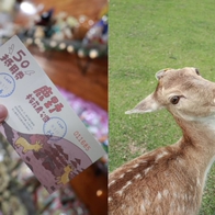 台東親子一日遊｜來鹿野不只有熱氣球可以玩！超療癒行程3大景點推薦！