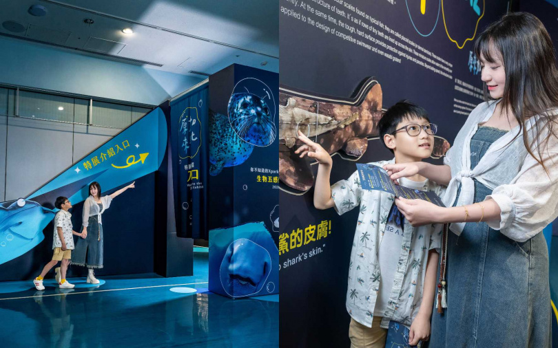 （圖／品牌提供）