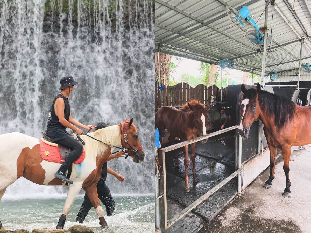 花蓮親子景點｜暑假13個放電好去處！鳳梨園小火車、章魚燒DIY，順遊「台版紐西蘭」夢幻景點