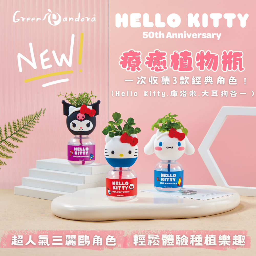 生活亮晶晶【Green Pandora】Hello Kitty 療癒植物瓶 (凱蒂貓、大耳狗、庫洛米) 每款各一 限定組合 療癒 紓壓 辦公室 居家擺飾 植物 盆栽 綠意 舒心 好友
