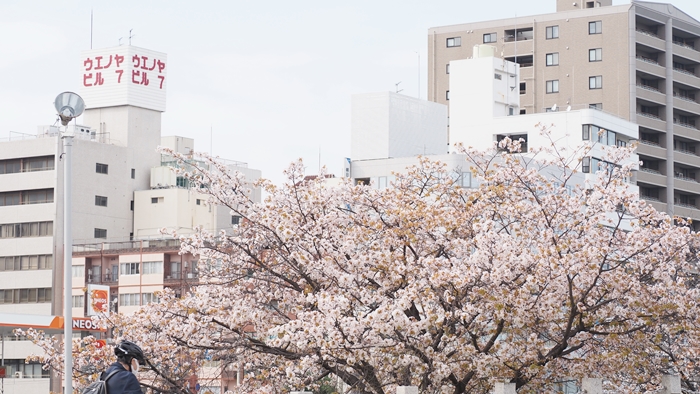 和平紀念公園