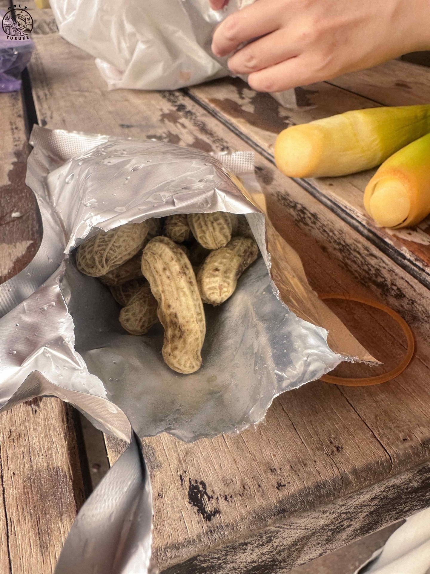 清水地熱園區介紹