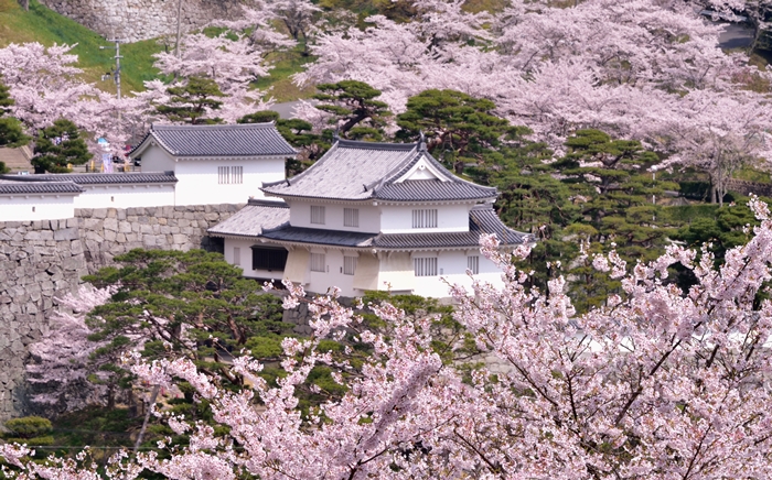 霞城公園 