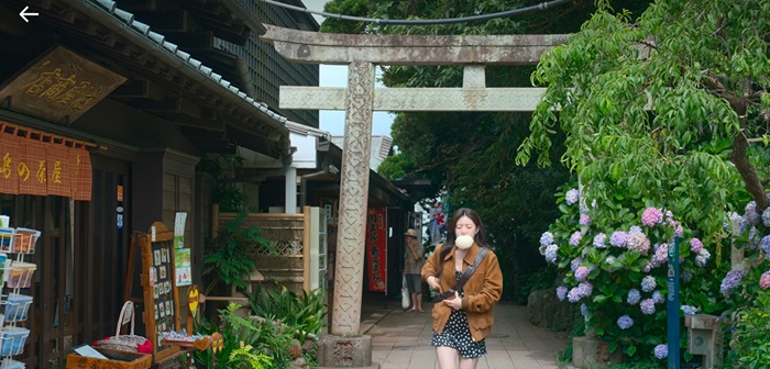 島の茶屋