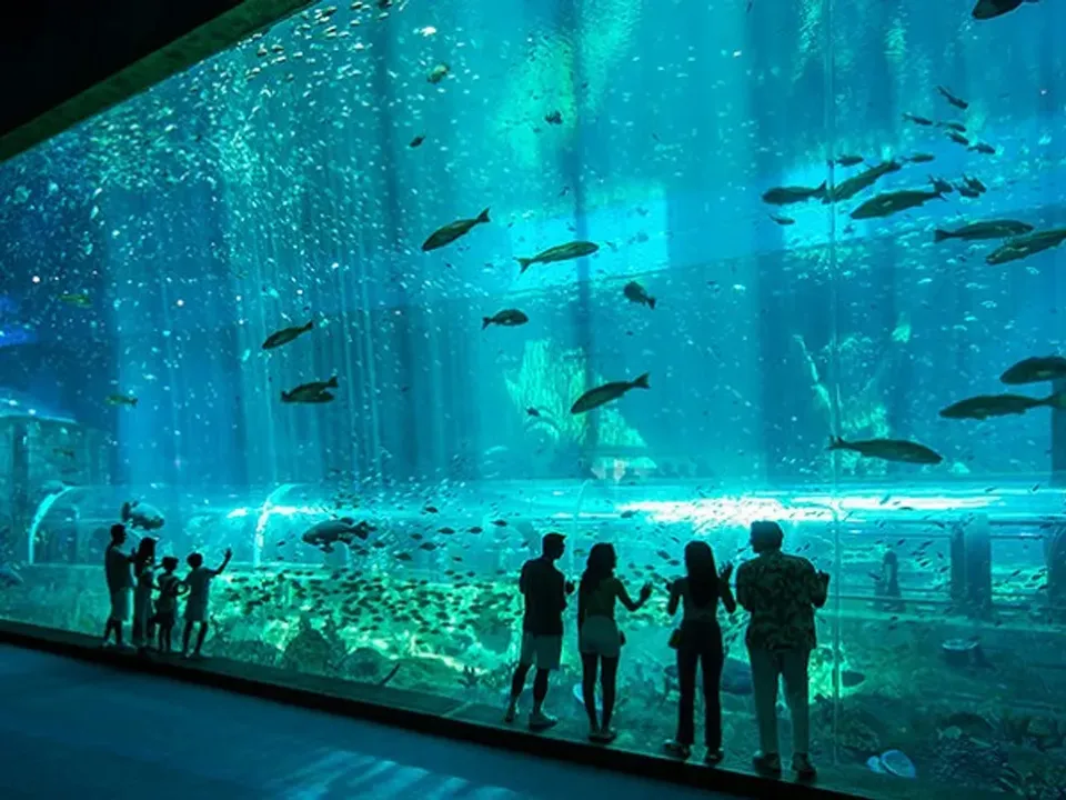 【越南富國島】海上珍珠野生動物園、威尼斯大世界、水上樂園、出海浮潛、美食饗宴、全程五星酒店5日．無購物、直飛免簽證-3