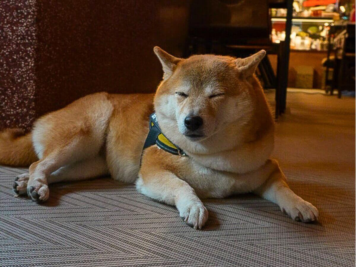 台中咖啡廳｜夜貓子天堂～3間人氣深夜咖啡廳推薦！從復古老宅到創意甜點任你選～